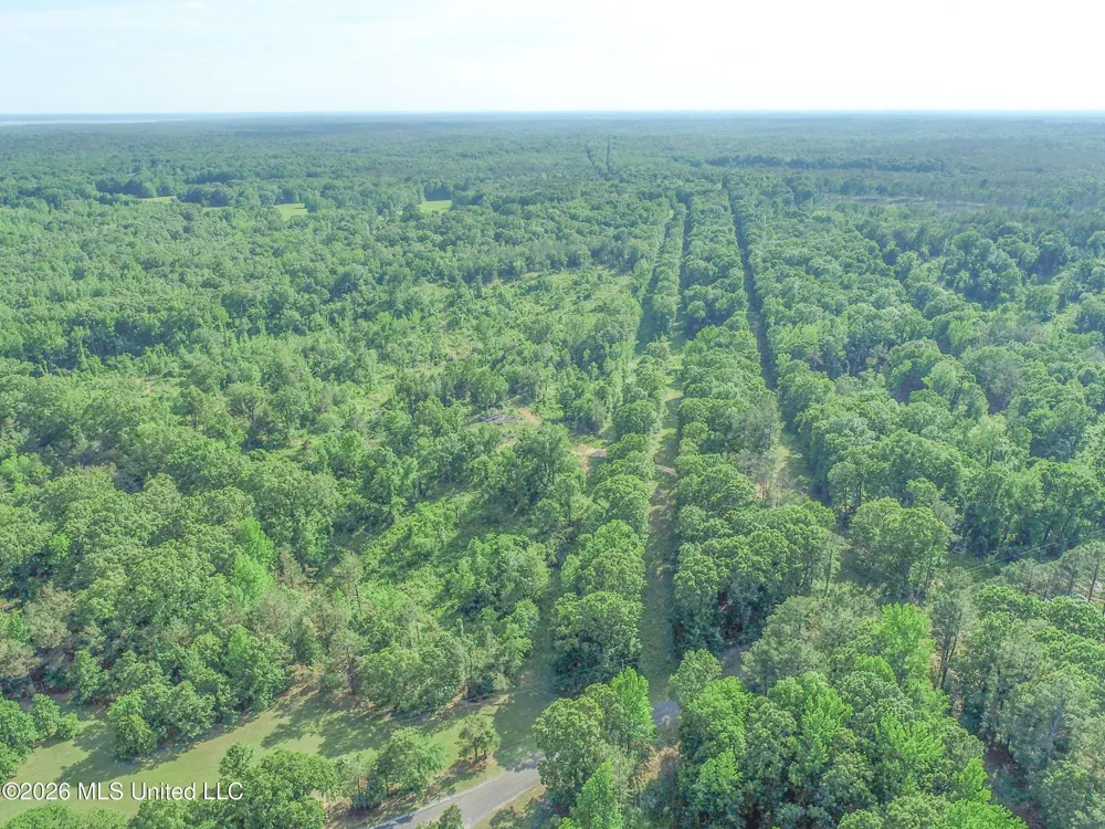 Wayne Massie Road Como, MS 38619