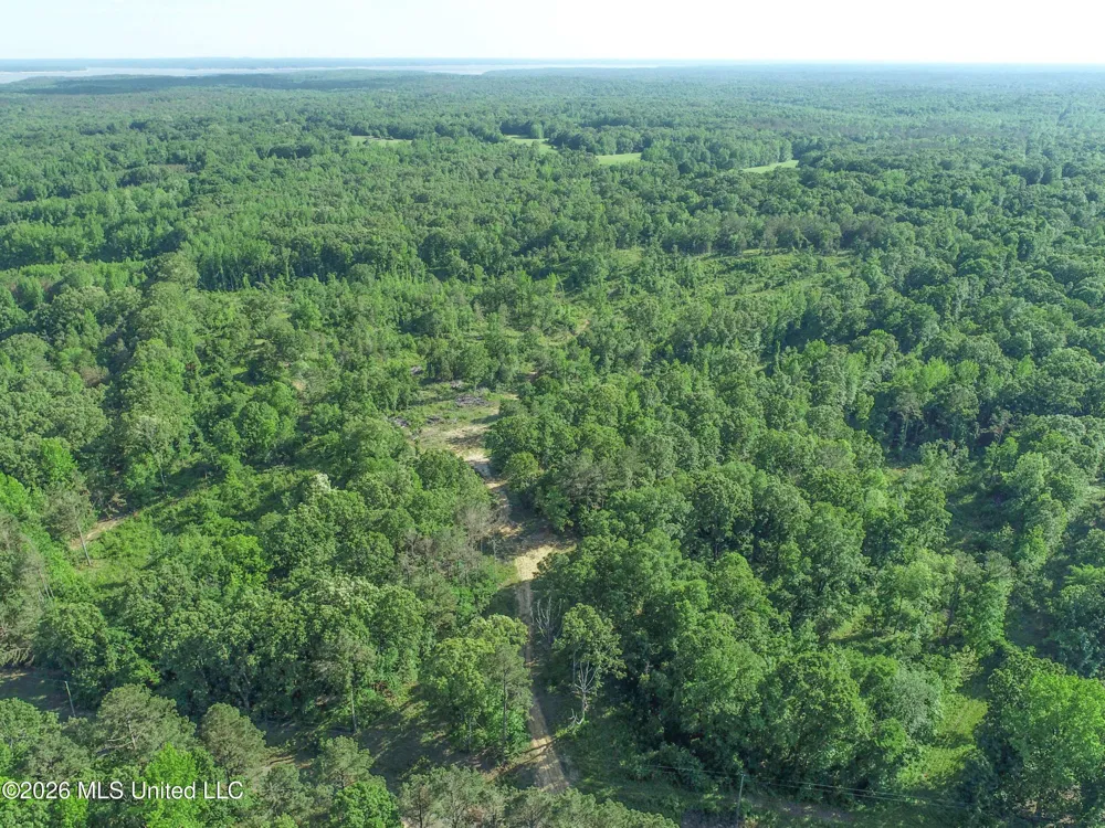 Wayne Massie Road Como, MS 38619
