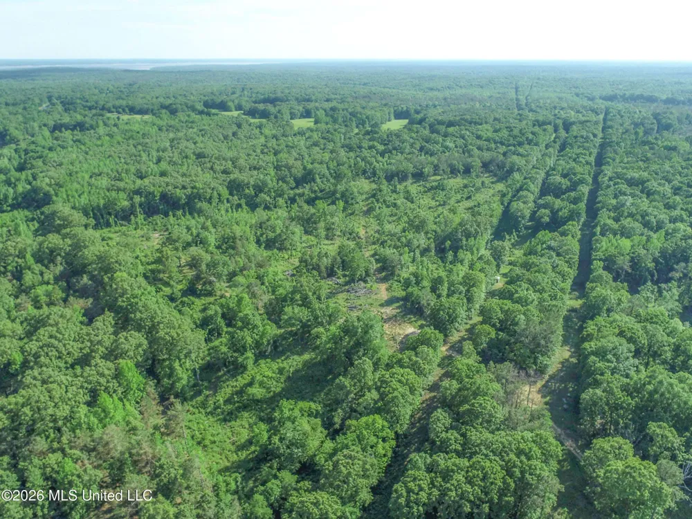 Wayne Massie Road Como, MS 38619