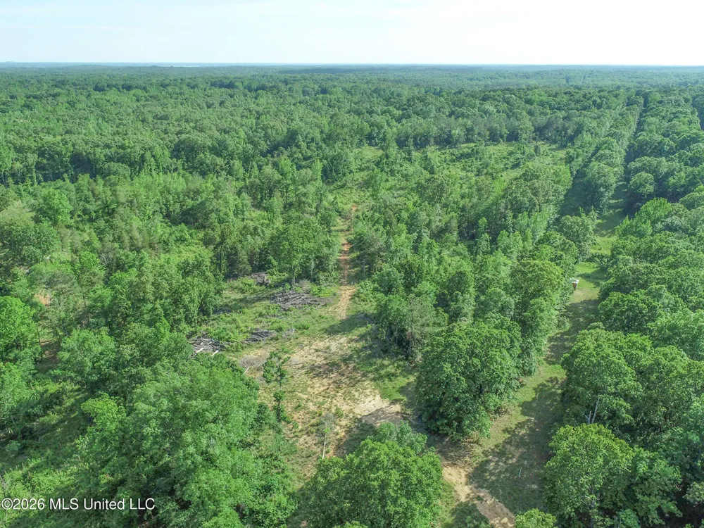 Wayne Massie Road Como, MS 38619