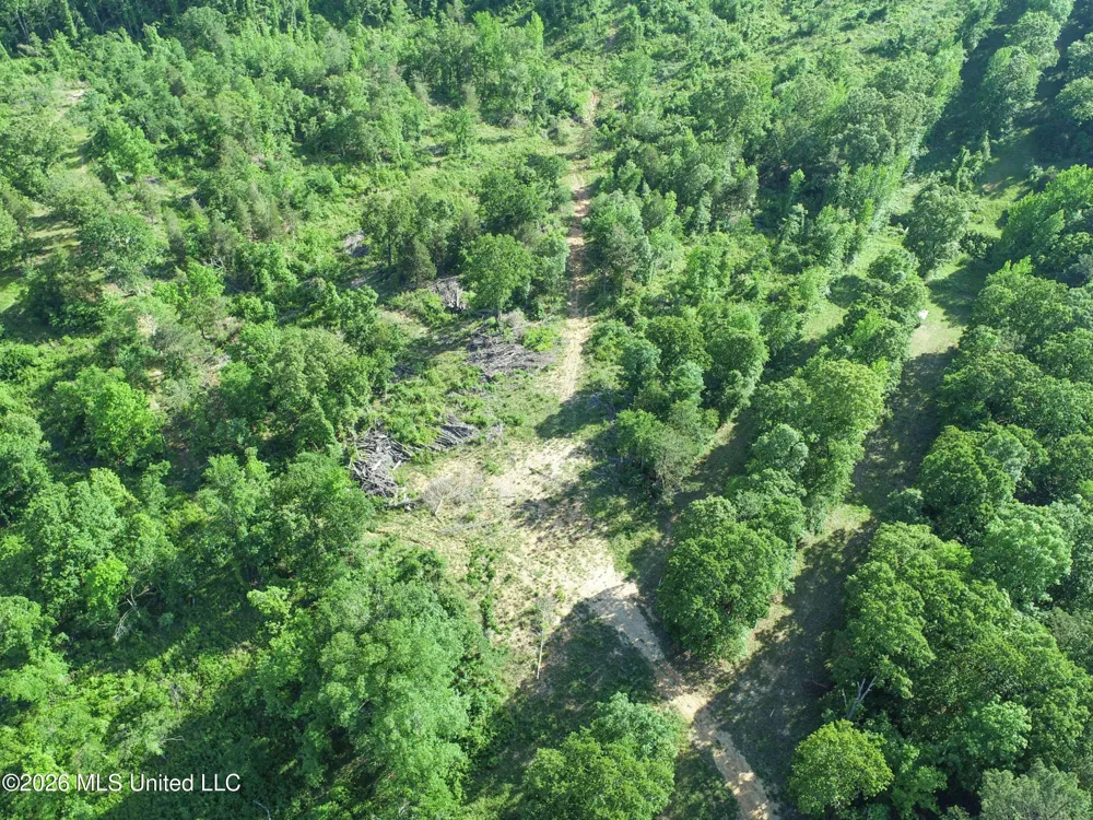 Wayne Massie Road Como, MS 38619