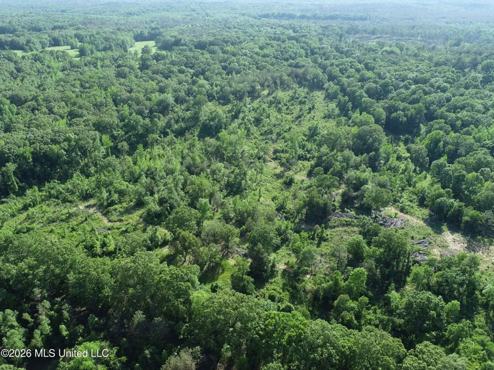 Wayne Massie Road Como, MS 38619