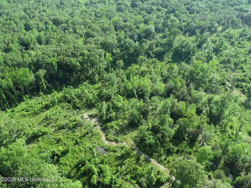 Wayne Massie Road Como, MS 38619