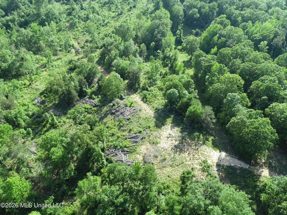 Wayne Massie Road Como, MS 38619