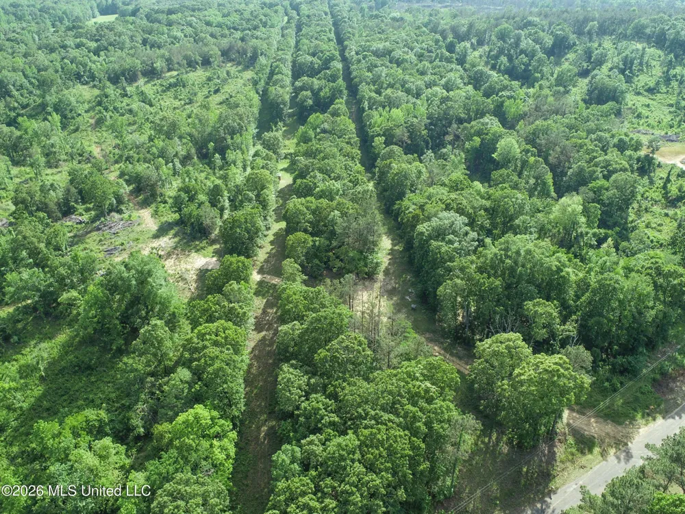 Wayne Massie Road Como, MS 38619