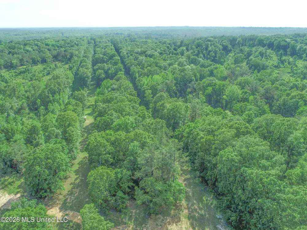 Wayne Massie Road Como, MS 38619