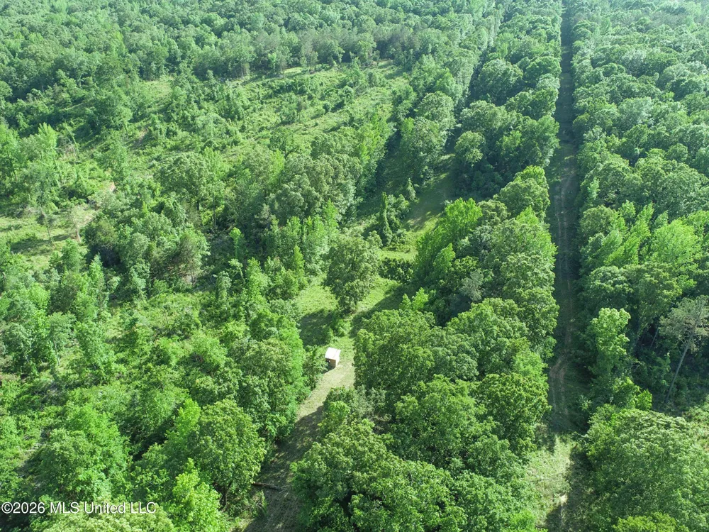 Wayne Massie Road Como, MS 38619