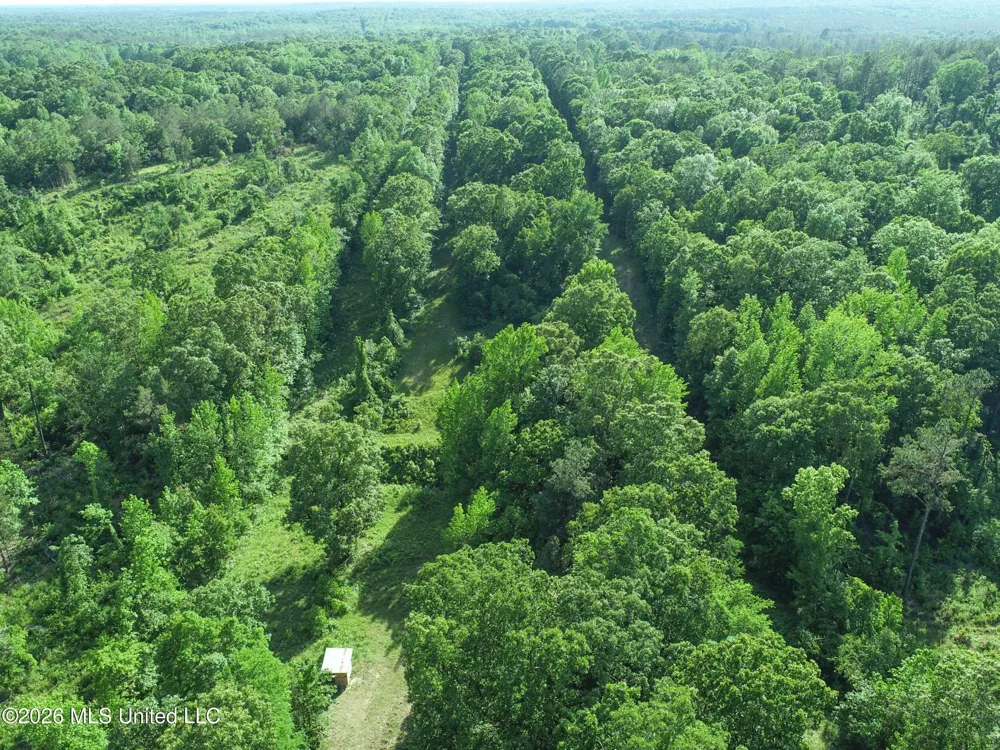Wayne Massie Road Como, MS 38619