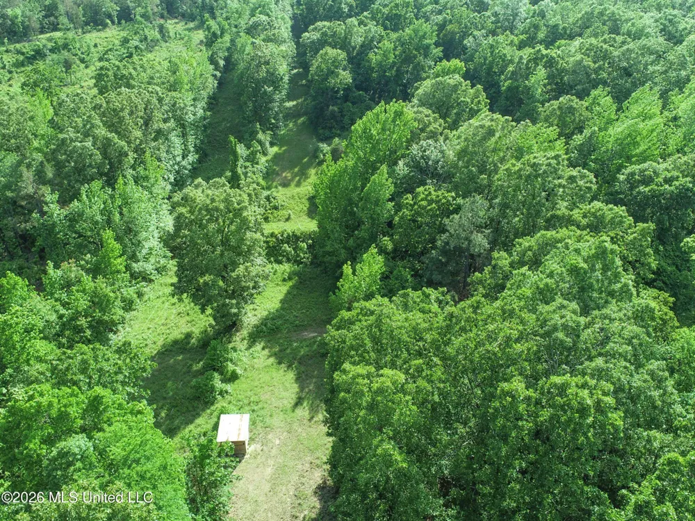 Wayne Massie Road Como, MS 38619