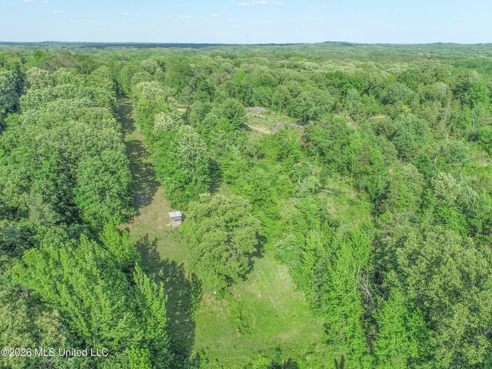 Wayne Massie Road Como, MS 38619