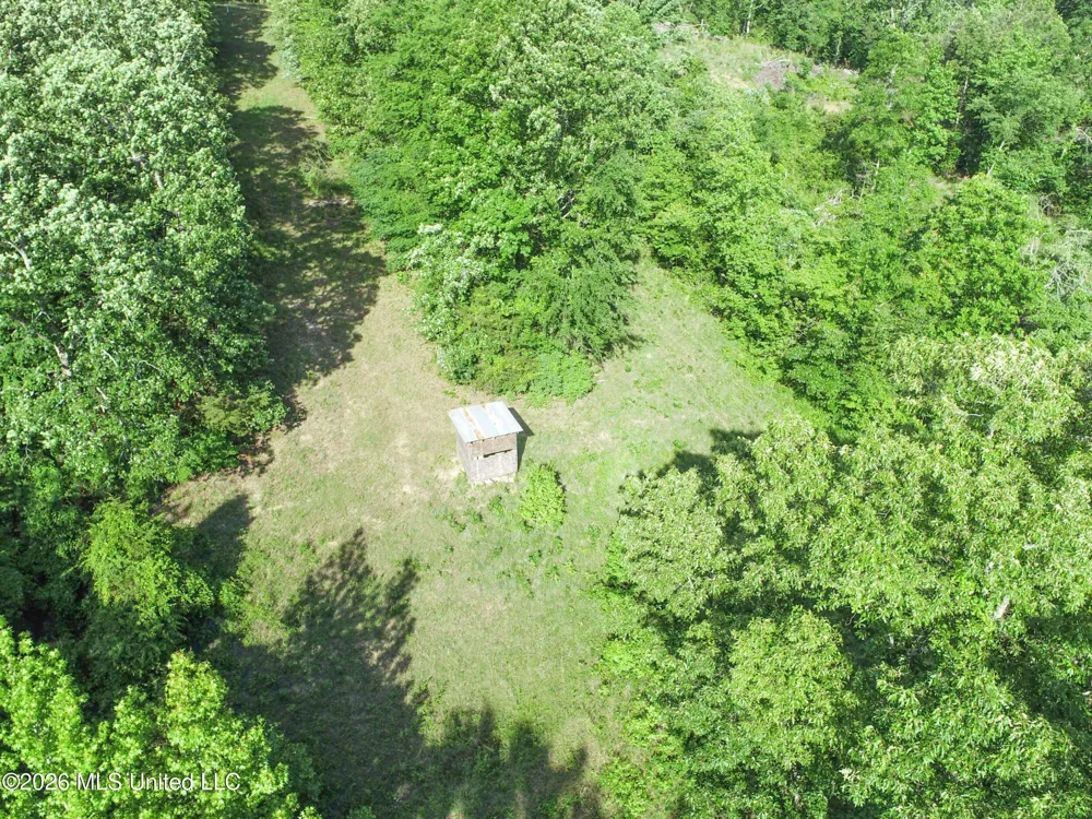 Wayne Massie Road Como, MS 38619