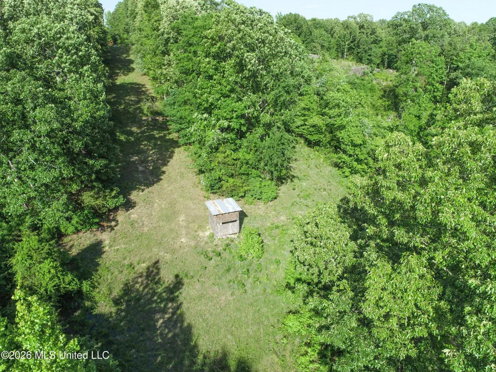 Wayne Massie Road Como, MS 38619