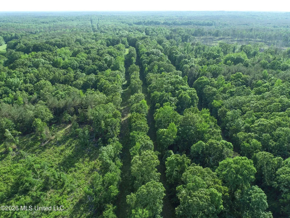 Wayne Massie Road Como, MS 38619