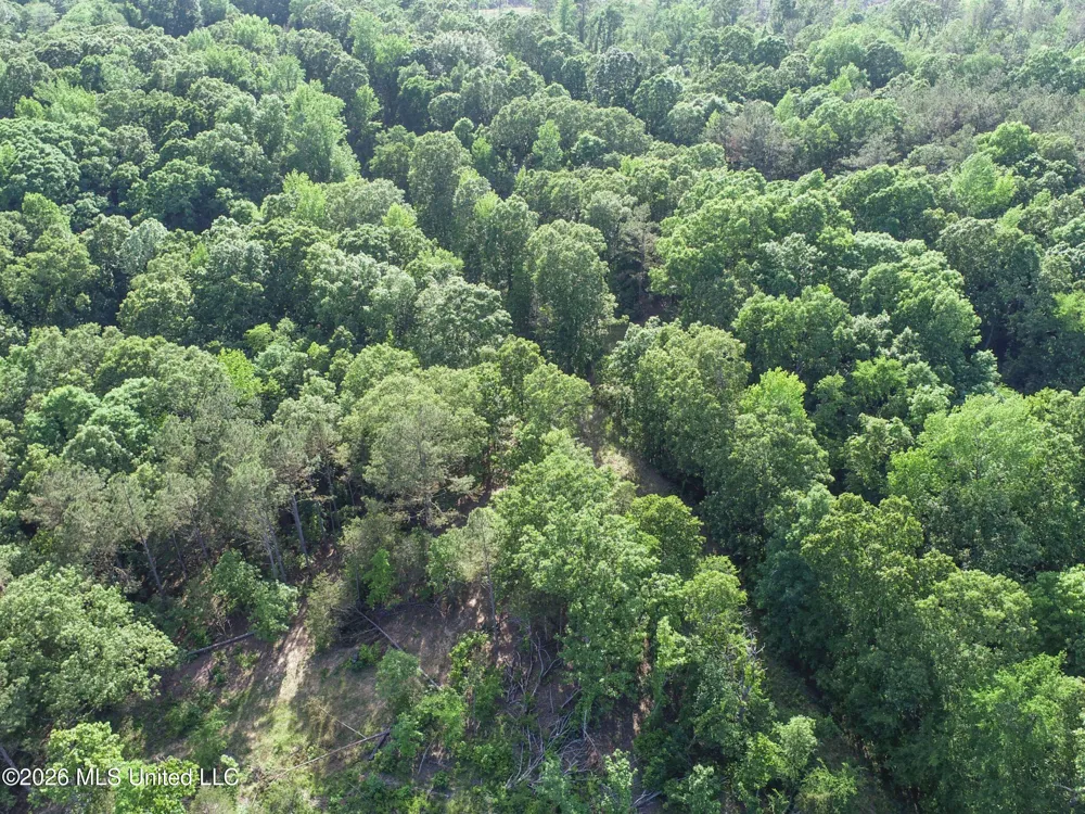 Wayne Massie Road Como, MS 38619