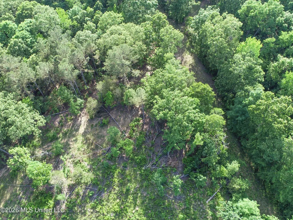 Wayne Massie Road Como, MS 38619