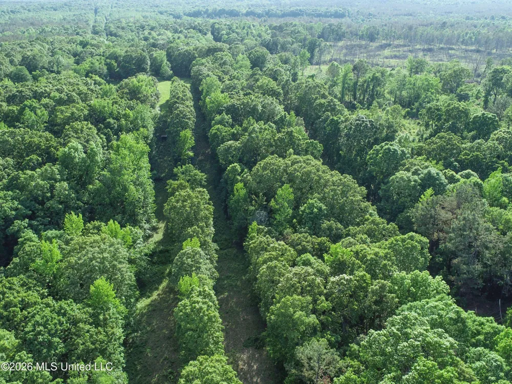 Wayne Massie Road Como, MS 38619