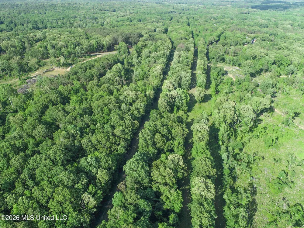 Wayne Massie Road Como, MS 38619