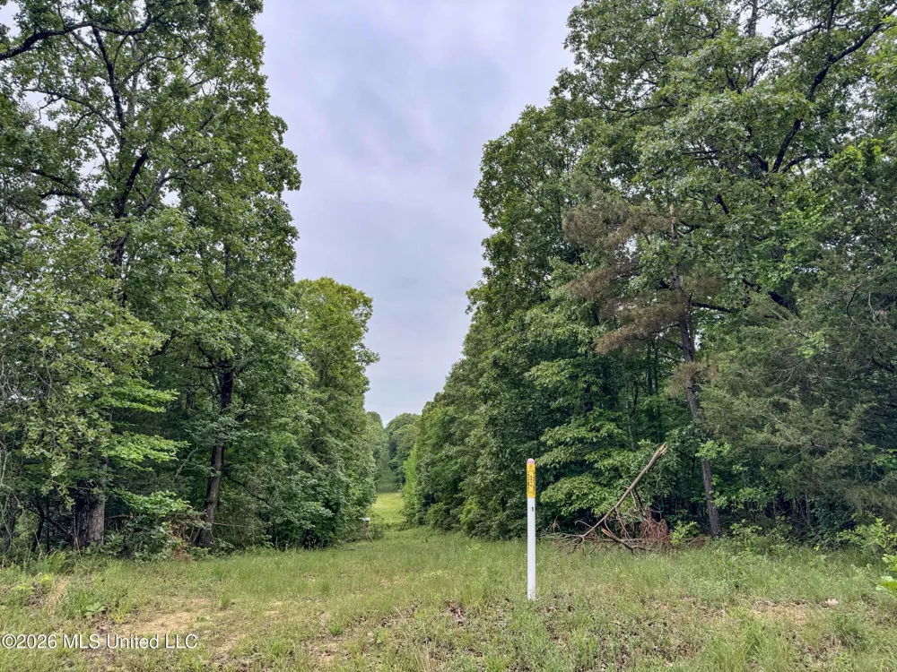 Wayne Massie Road Como, MS 38619