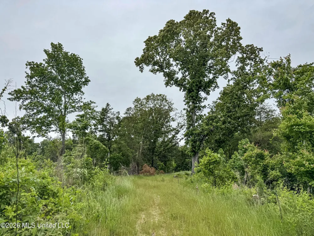 Wayne Massie Road Como, MS 38619