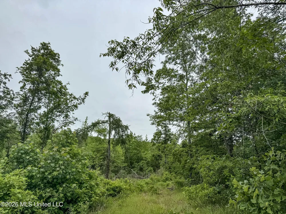 Wayne Massie Road Como, MS 38619
