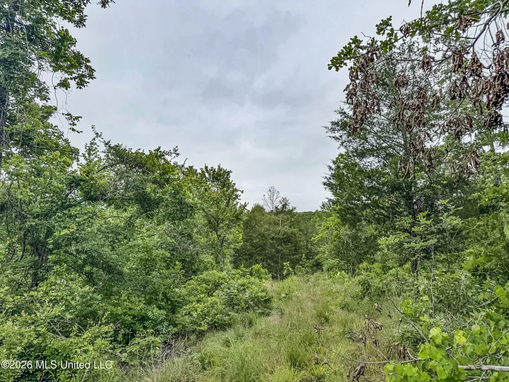 Wayne Massie Road Como, MS 38619