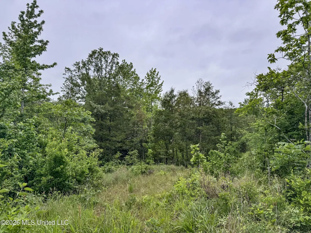 Wayne Massie Road Como, MS 38619