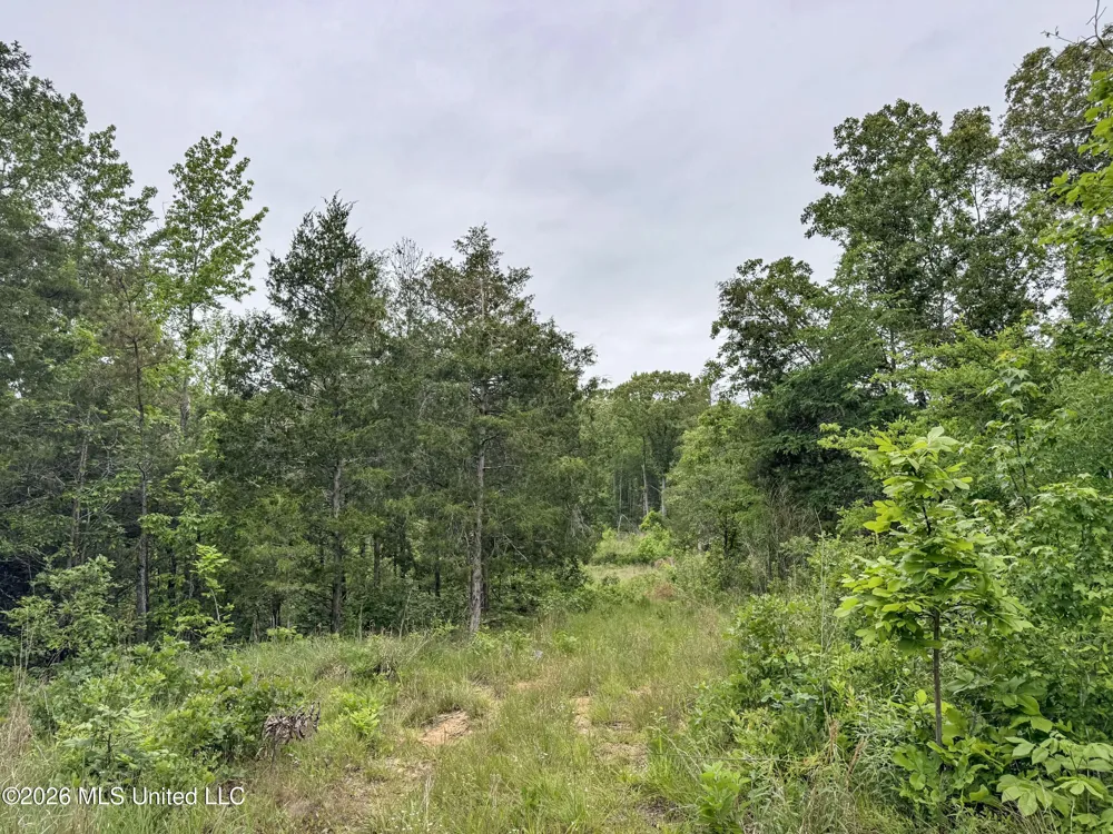 Wayne Massie Road Como, MS 38619