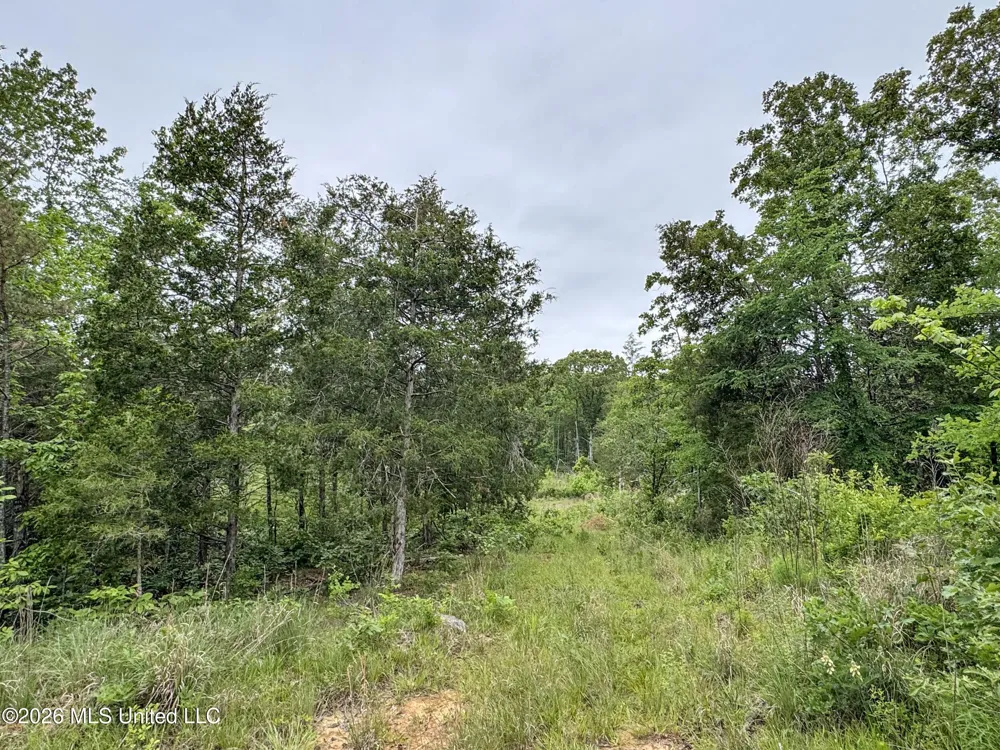 Wayne Massie Road Como, MS 38619