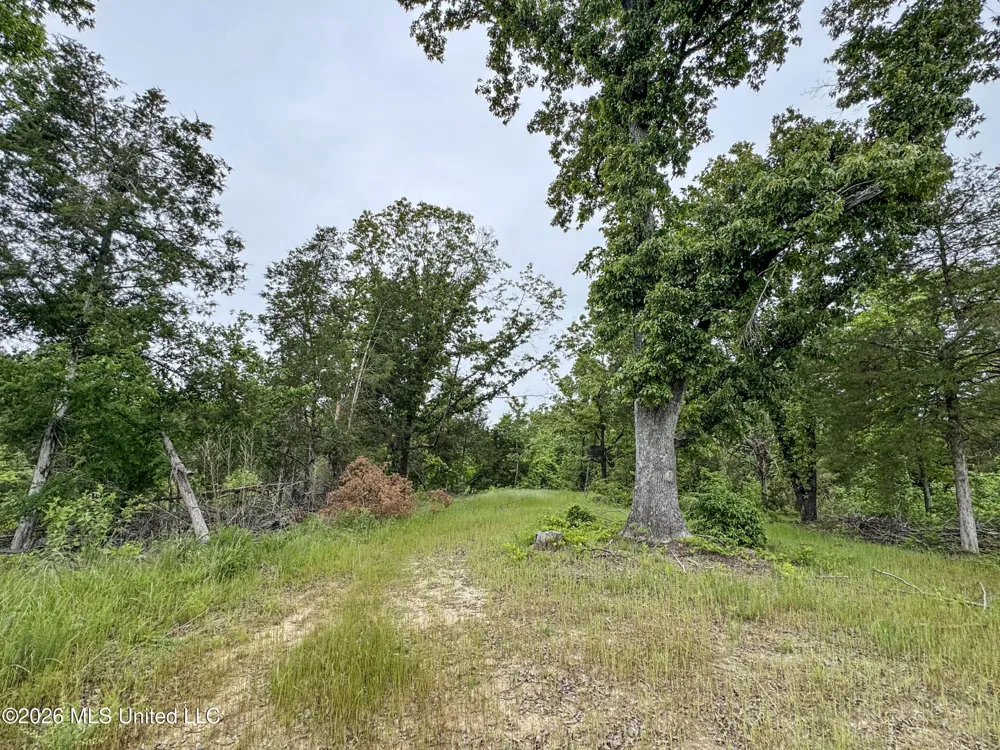 Wayne Massie Road Como, MS 38619