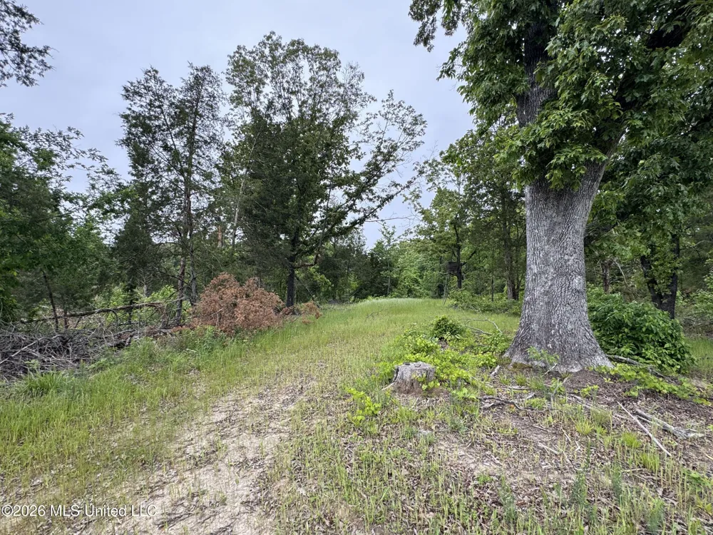 Wayne Massie Road Como, MS 38619