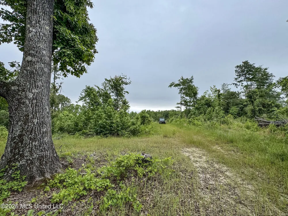 Wayne Massie Road Como, MS 38619