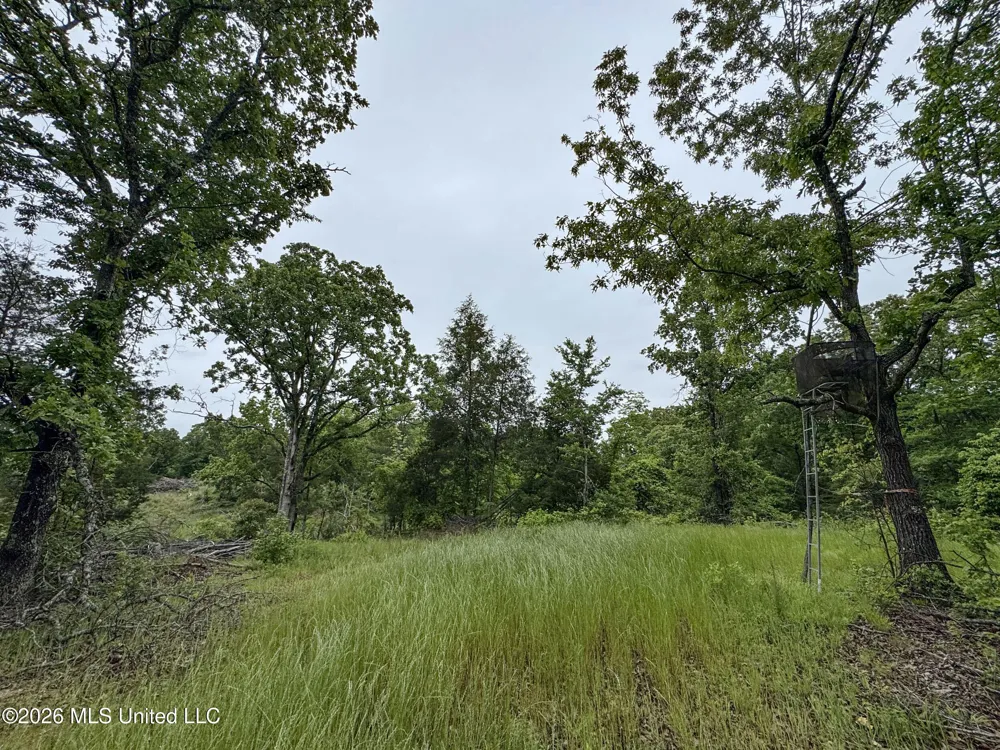 Wayne Massie Road Como, MS 38619