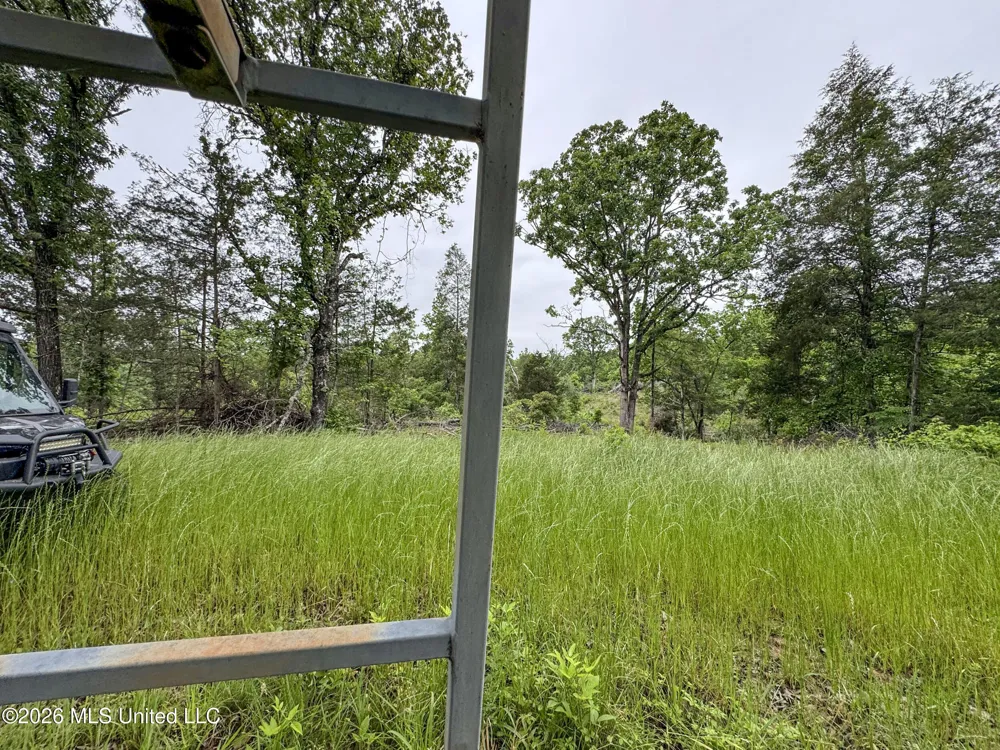 Wayne Massie Road Como, MS 38619