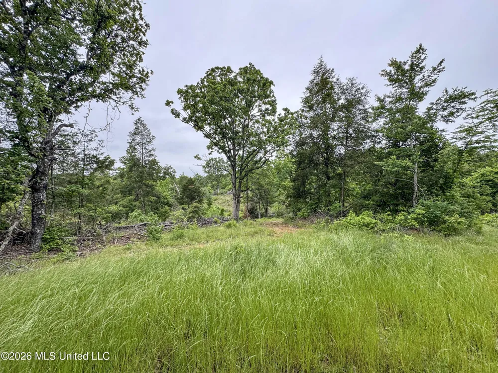 Wayne Massie Road Como, MS 38619