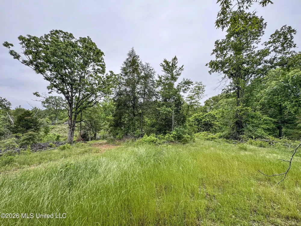 Wayne Massie Road Como, MS 38619