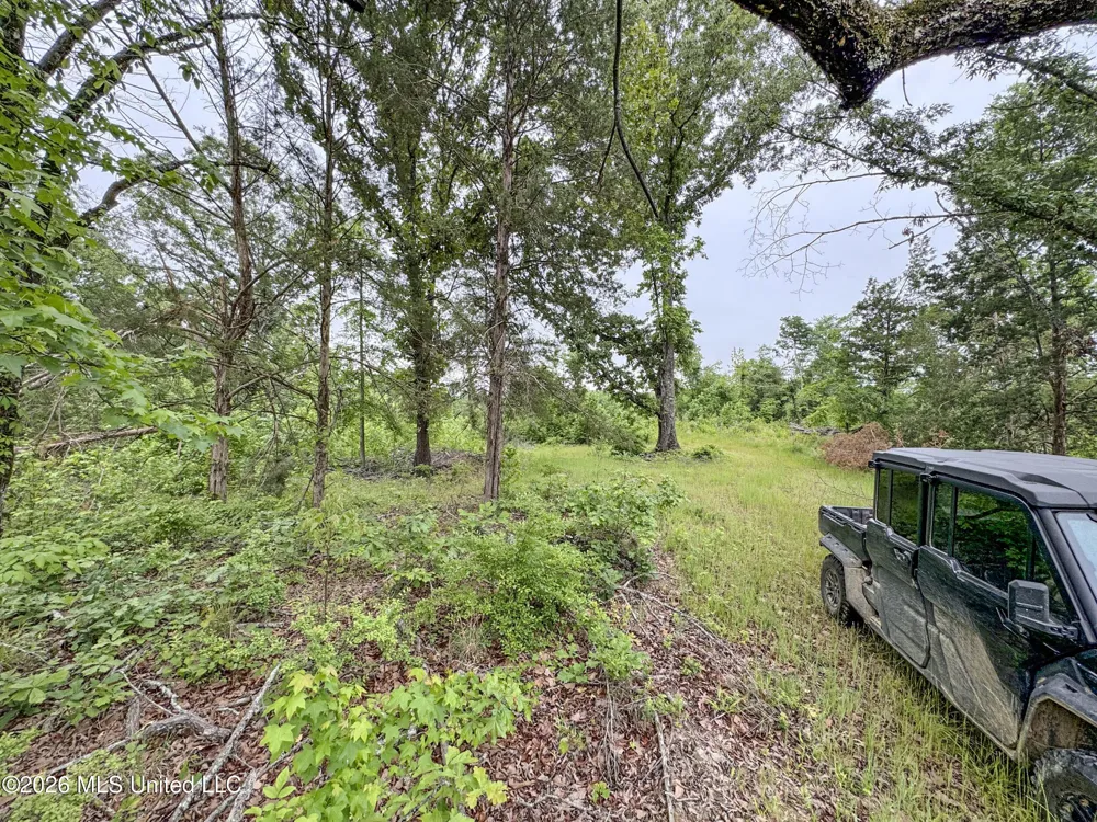 Wayne Massie Road Como, MS 38619