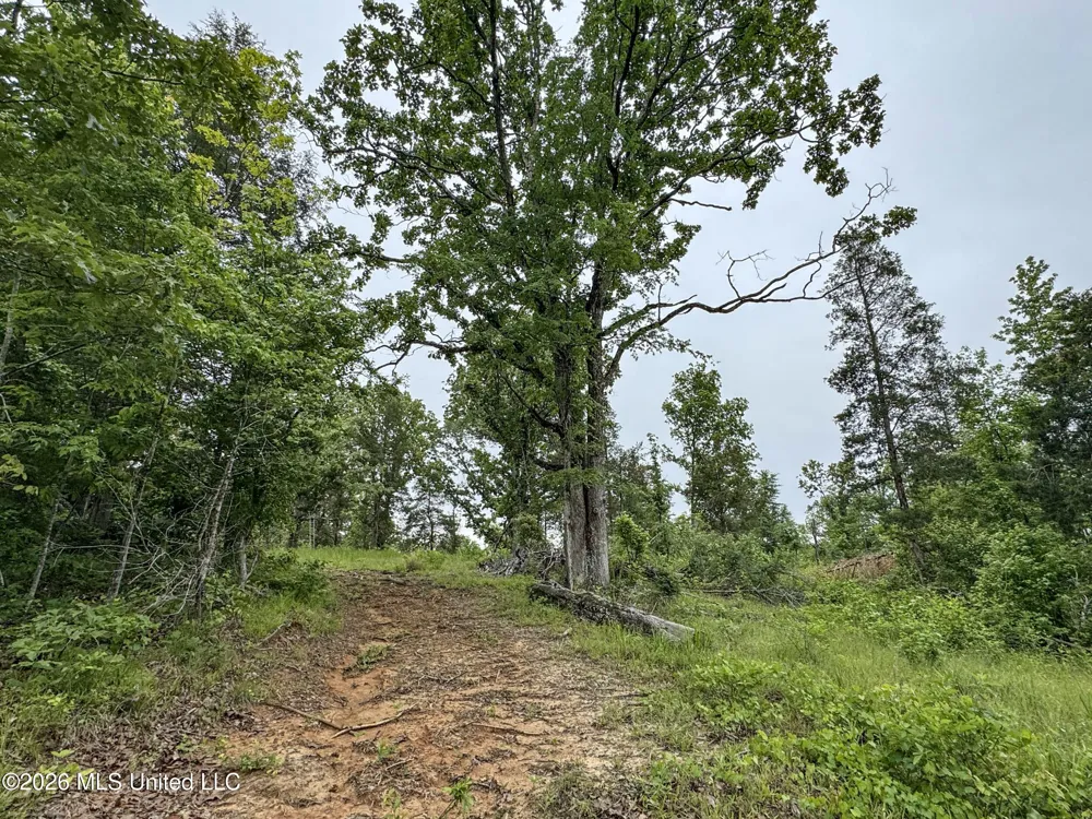 Wayne Massie Road Como, MS 38619