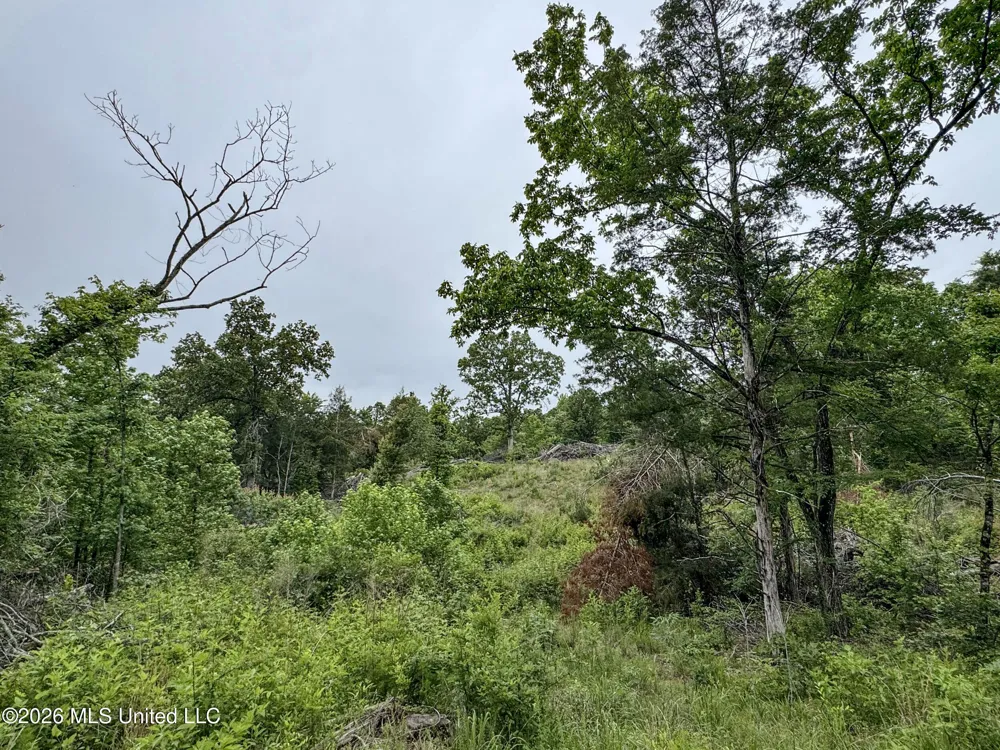 Wayne Massie Road Como, MS 38619