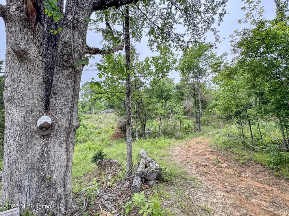 Wayne Massie Road Como, MS 38619