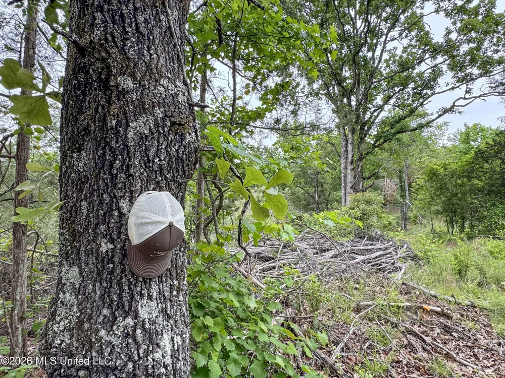 Wayne Massie Road Como, MS 38619