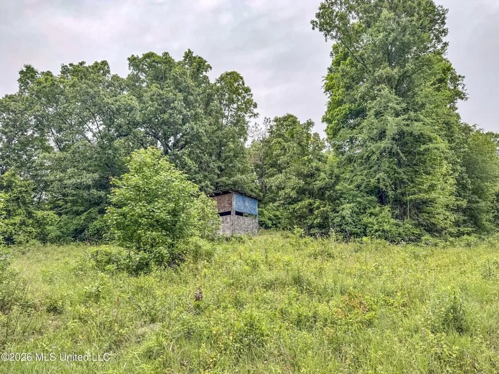 Wayne Massie Road Como, MS 38619
