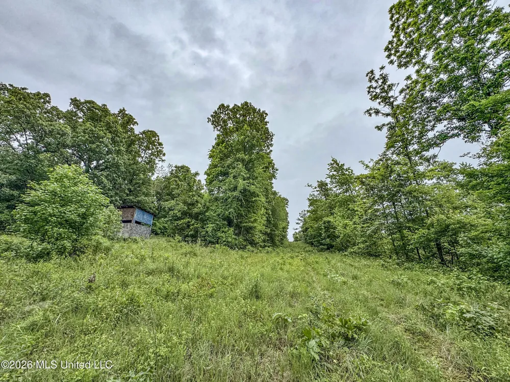 Wayne Massie Road Como, MS 38619