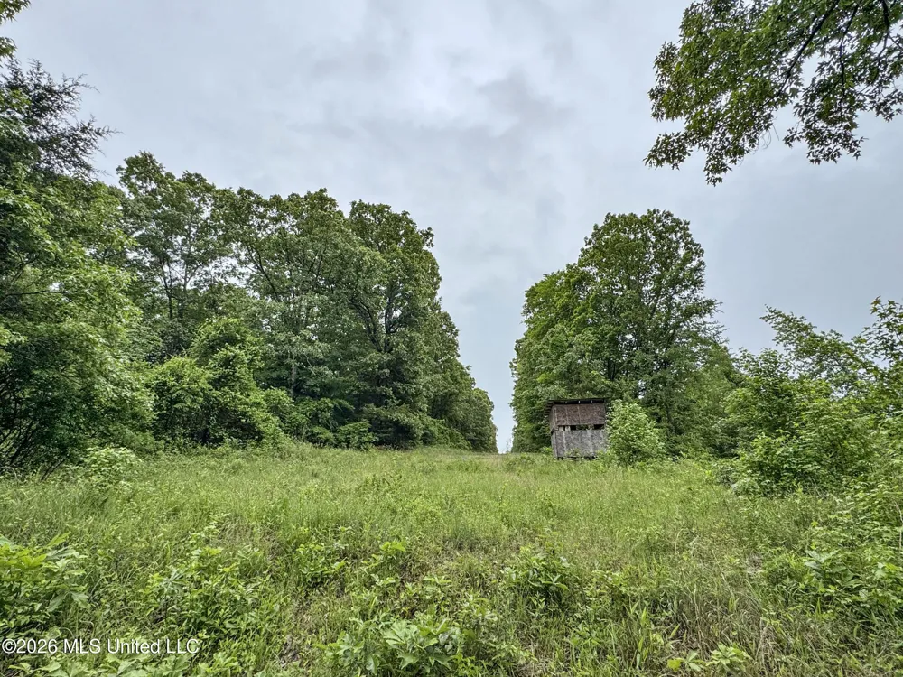Wayne Massie Road Como, MS 38619