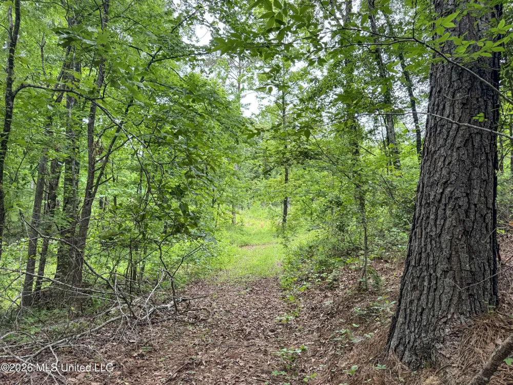 Wayne Massie Road Como, MS 38619