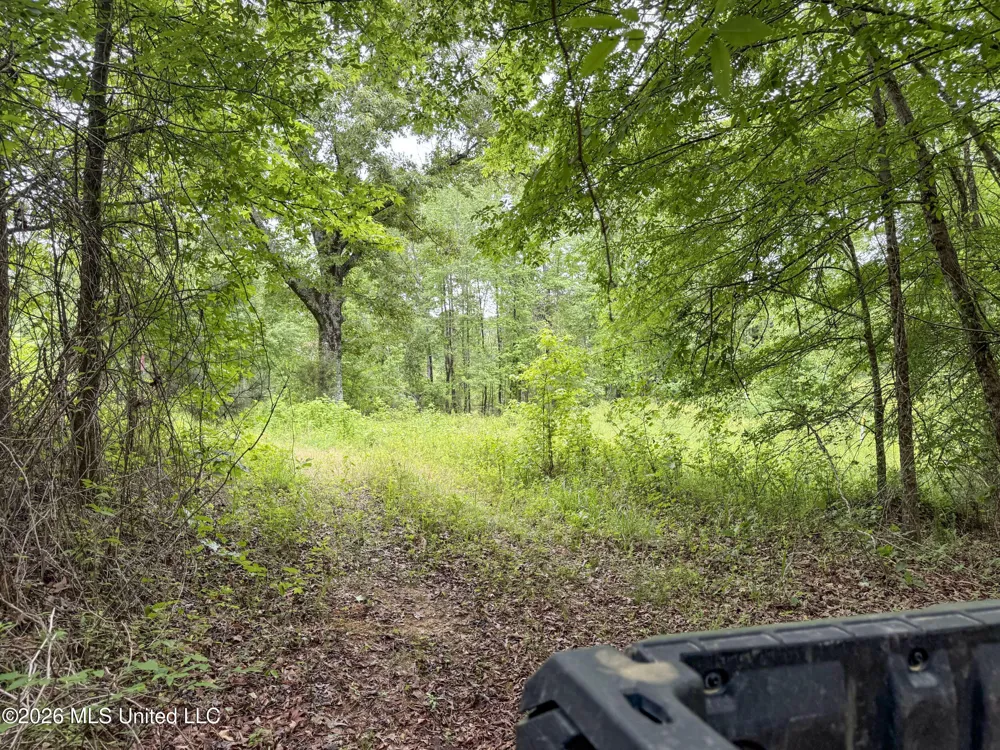 Wayne Massie Road Como, MS 38619