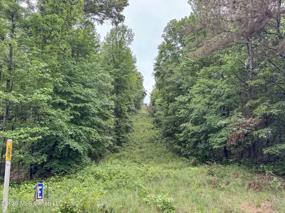 Wayne Massie Road Como, MS 38619