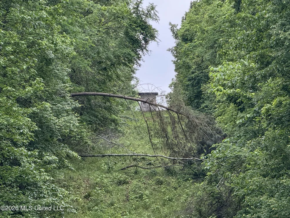 Wayne Massie Road Como, MS 38619