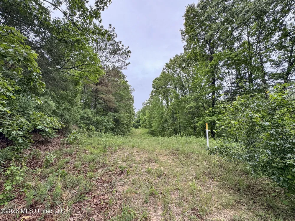Wayne Massie Road Como, MS 38619