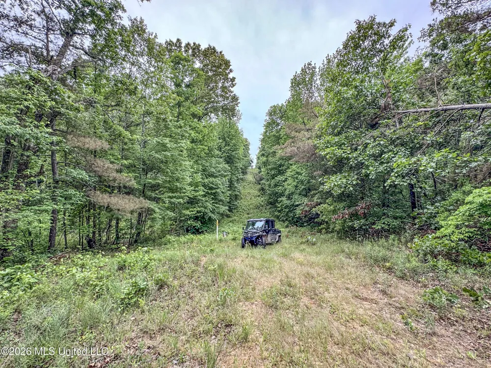 Wayne Massie Road Como, MS 38619