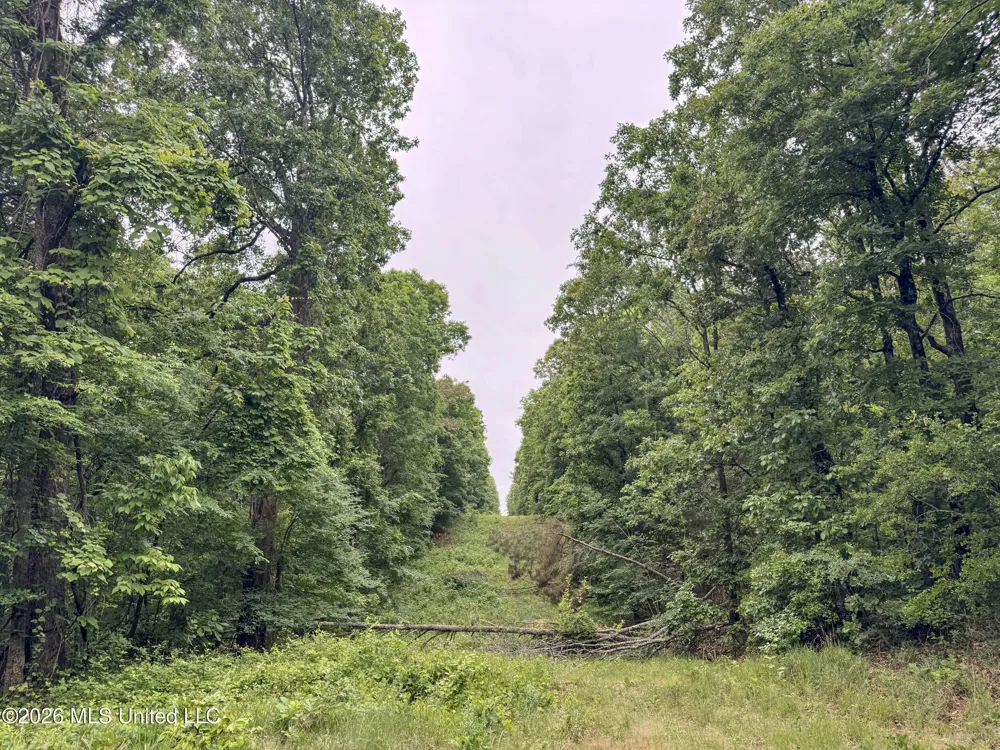 Wayne Massie Road Como, MS 38619